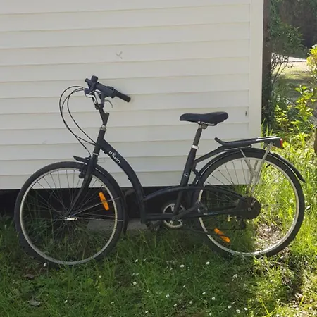 Seaside Campground: Beachside Comfort With Bikes *